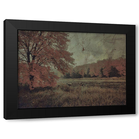 Fall In The Mist Black Modern Wood Framed Art Print with Double Matting by Haynes, Smith
