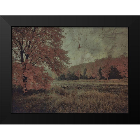 Fall In The Mist Black Modern Wood Framed Art Print by Haynes, Smith