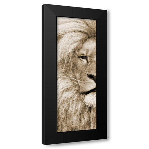 Left Eyed Black Modern Wood Framed Art Print by Lewis, Sheldon