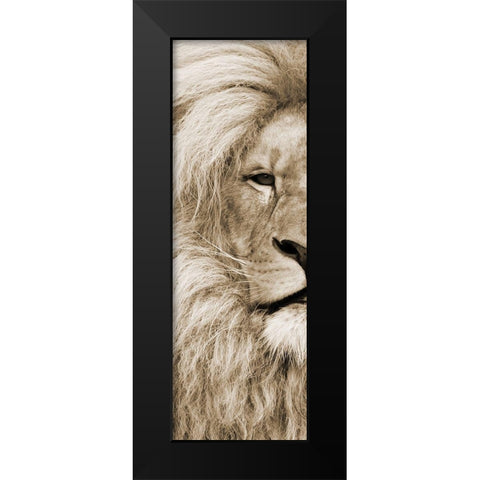 Left Eyed Black Modern Wood Framed Art Print by Lewis, Sheldon