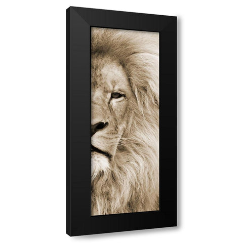Right Eyed Black Modern Wood Framed Art Print by Lewis, Sheldon