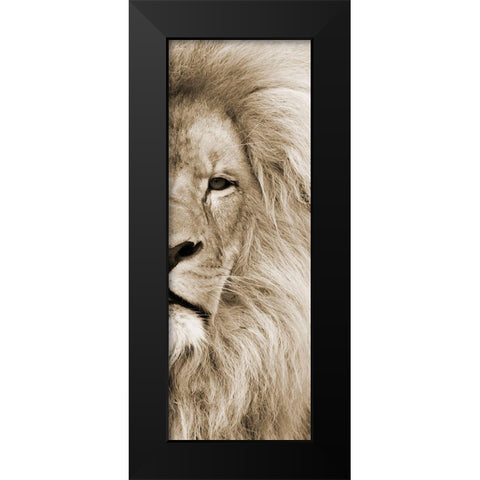 Right Eyed Black Modern Wood Framed Art Print by Lewis, Sheldon