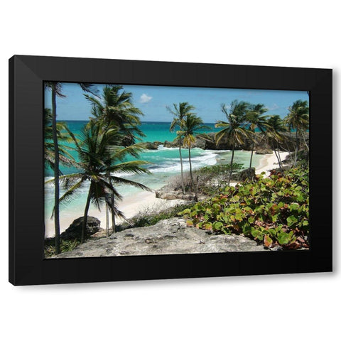 Tropical Beauty Black Modern Wood Framed Art Print by Lewis, Sheldon