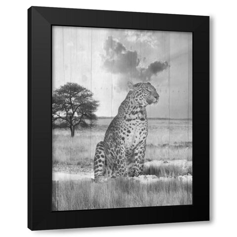 Go Wild Black Modern Wood Framed Art Print with Double Matting by Lewis, Sheldon