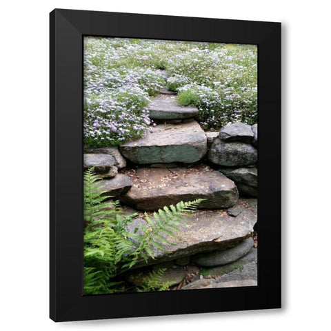 The Path Black Modern Wood Framed Art Print with Double Matting by Lewis, Sheldon