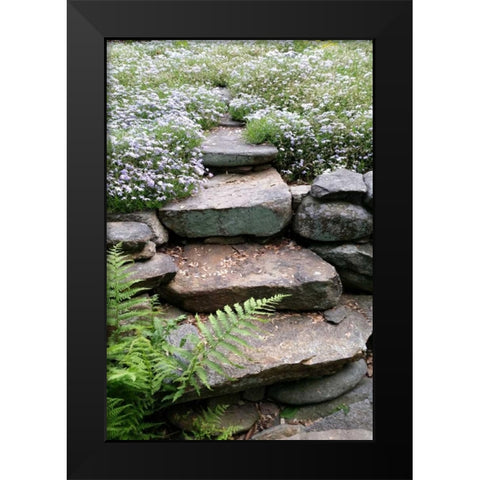 The Path Black Modern Wood Framed Art Print by Lewis, Sheldon
