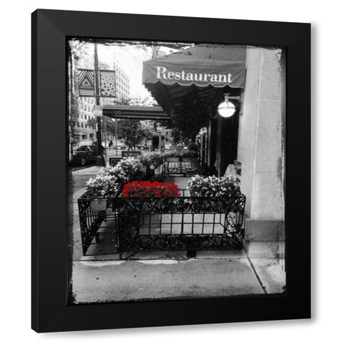 Red Restaurant Flora Pop Black Modern Wood Framed Art Print by Lewis, Sheldon