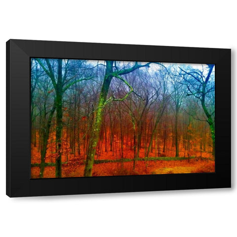 Firery Forest Black Modern Wood Framed Art Print with Double Matting by Lewis, Sheldon