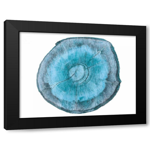 Rings Of Ages 2 Black Modern Wood Framed Art Print with Double Matting by Lewis, Sheldon