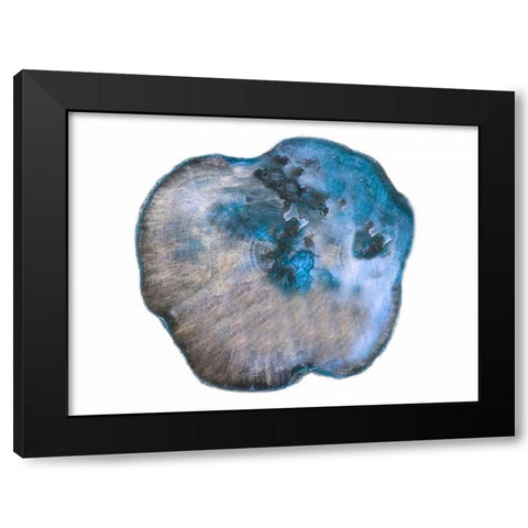 Saturn Rings Of Blue Black Modern Wood Framed Art Print with Double Matting by Lewis, Sheldon