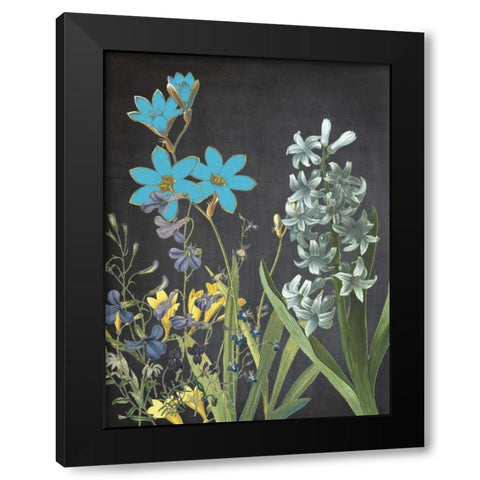 Fresh Meadow Bloom Black Modern Wood Framed Art Print by Lewis, Sheldon