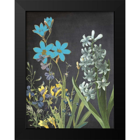 Fresh Meadow Bloom Black Modern Wood Framed Art Print by Lewis, Sheldon