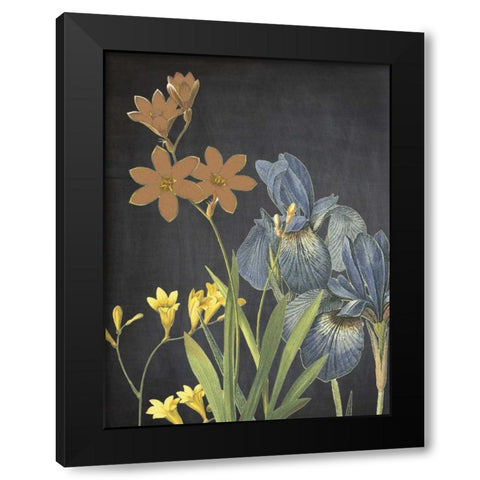 Meadow Bloom Black Modern Wood Framed Art Print by Lewis, Sheldon