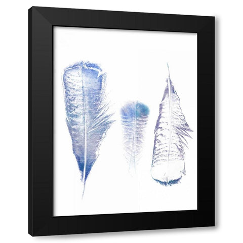 Multi Feather 1 Black Modern Wood Framed Art Print by Lewis, Sheldon