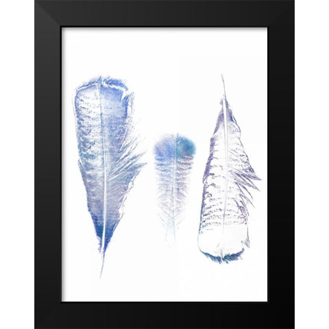 Multi Feather 1 Black Modern Wood Framed Art Print by Lewis, Sheldon