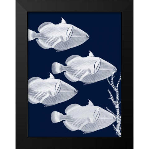 Coastal Orchestra Black Modern Wood Framed Art Print by Lewis, Sheldon