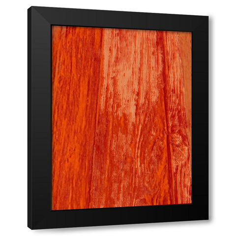 New Age Look Black Modern Wood Framed Art Print with Double Matting by Lewis, Sheldon