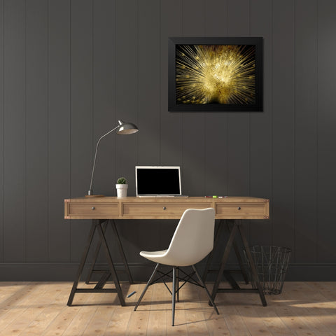 Golden Peacock Black Modern Wood Framed Art Print by Lewis, Sheldon