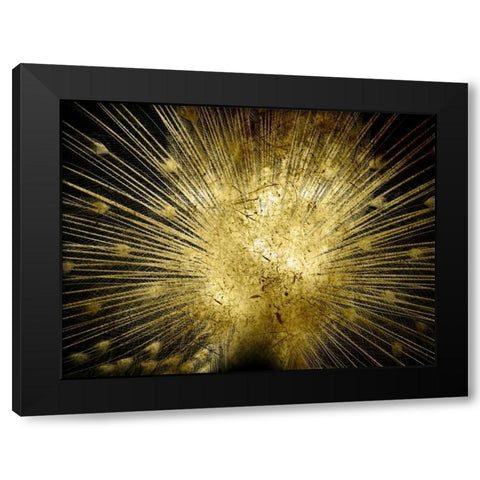 Golden Peacock Black Modern Wood Framed Art Print by Lewis, Sheldon