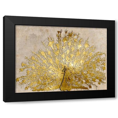 Ivory Coast Peacock Black Modern Wood Framed Art Print with Double Matting by Lewis, Sheldon