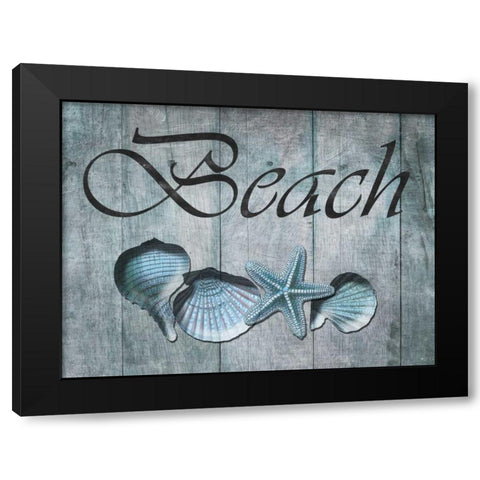 Beach Shells Black Modern Wood Framed Art Print with Double Matting by Lewis, Sheldon