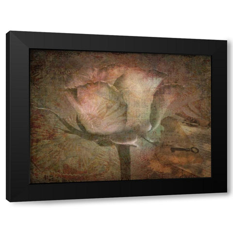 Rose Faith Black Modern Wood Framed Art Print with Double Matting by Lewis, Sheldon