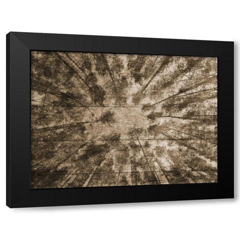 Up Into The Woods 2 Black Modern Wood Framed Art Print by Lewis, Sheldon