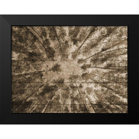 Up Into The Woods 2 Black Modern Wood Framed Art Print by Lewis, Sheldon