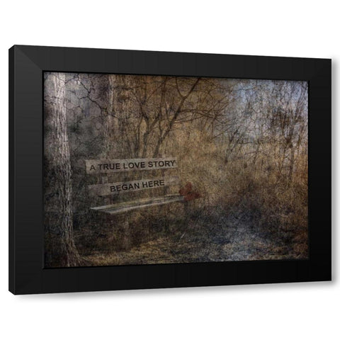 Our Secret Place Black Modern Wood Framed Art Print with Double Matting by Lewis, Sheldon