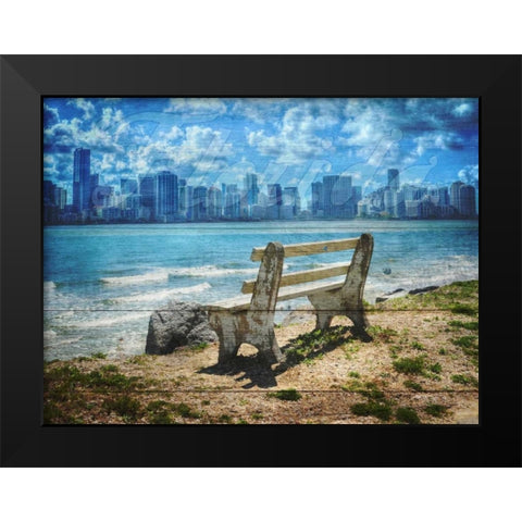 Florida Black Modern Wood Framed Art Print by Lewis, Sheldon