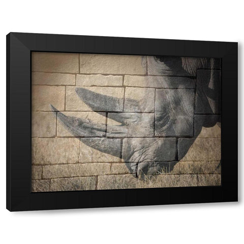 Stone Wall Rhino Black Modern Wood Framed Art Print with Double Matting by Lewis, Sheldon