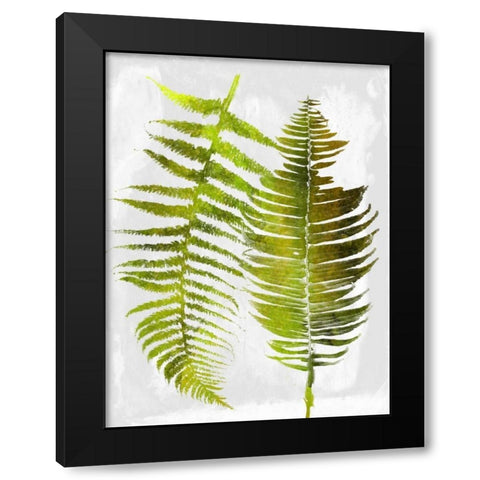 Tropic Spring Black Modern Wood Framed Art Print with Double Matting by Lewis, Sheldon