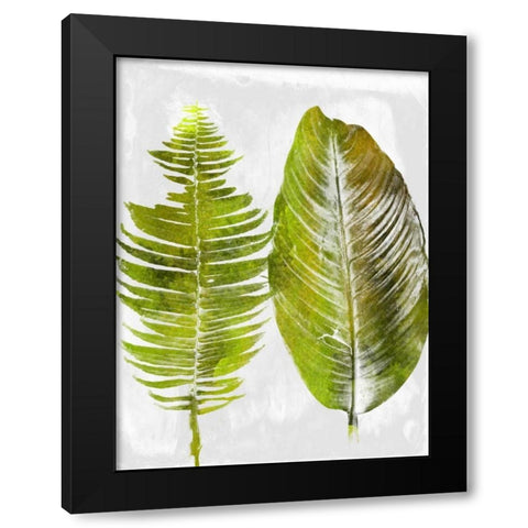Tropic Spring 1 Black Modern Wood Framed Art Print with Double Matting by Lewis, Sheldon