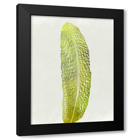 Single Bird Black Modern Wood Framed Art Print with Double Matting by Lewis, Sheldon