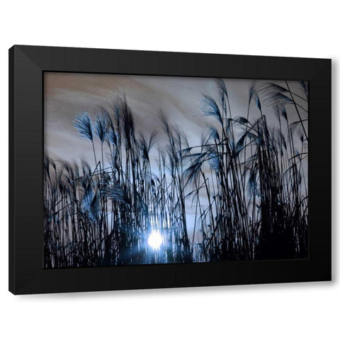 Blue Sunset Black Modern Wood Framed Art Print by Lewis, Sheldon