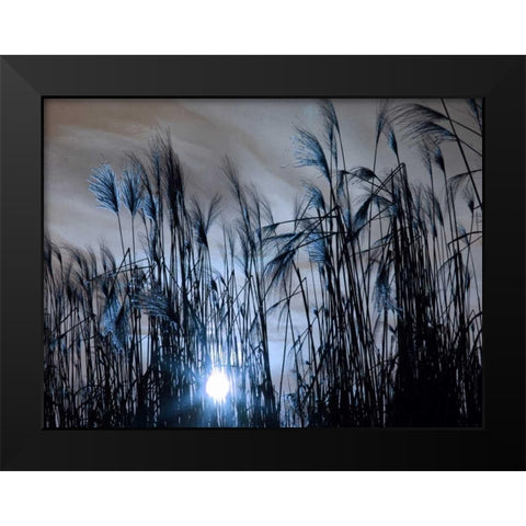 Blue Sunset Black Modern Wood Framed Art Print by Lewis, Sheldon