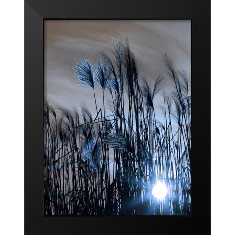 Blue Sunset 1 Black Modern Wood Framed Art Print by Lewis, Sheldon
