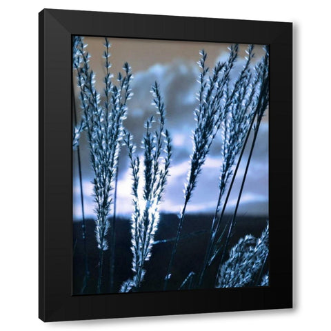 Blue Sunset 3 Black Modern Wood Framed Art Print by Lewis, Sheldon