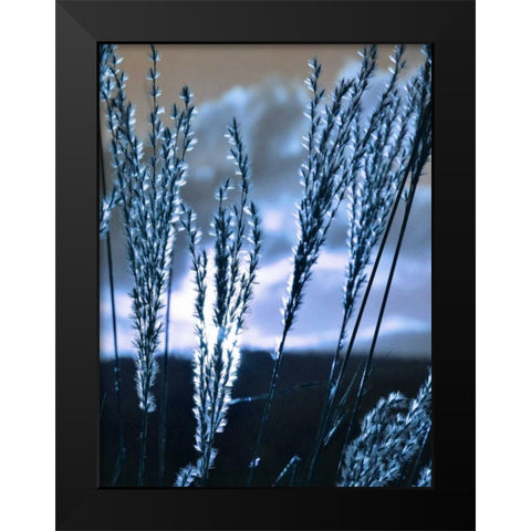 Blue Sunset 3 Black Modern Wood Framed Art Print by Lewis, Sheldon