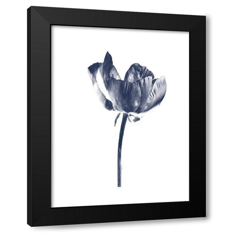 Rosita 2 Black Modern Wood Framed Art Print by Lewis, Sheldon