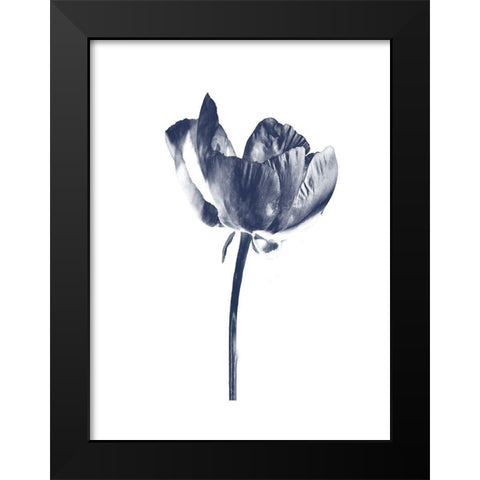 Rosita 2 Black Modern Wood Framed Art Print by Lewis, Sheldon