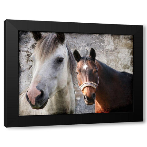 Togetherness Black Modern Wood Framed Art Print with Double Matting by Lewis, Sheldon