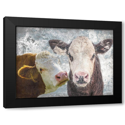 Two Moo Black Modern Wood Framed Art Print by Lewis, Sheldon