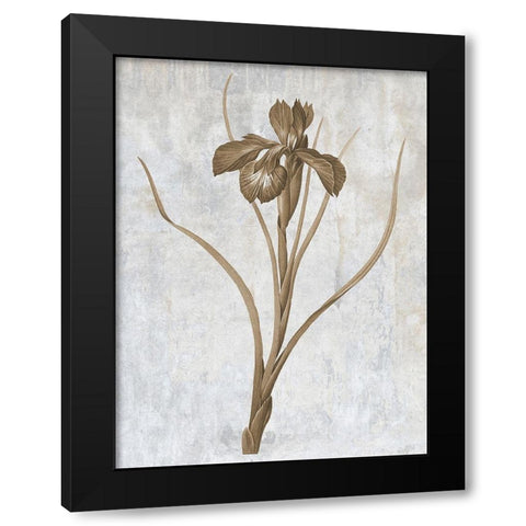 Earth Balance 3 Black Modern Wood Framed Art Print with Double Matting by Lewis, Sheldon