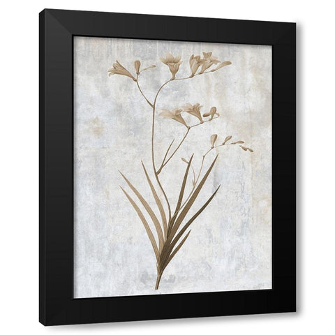 Earth Balance 4 Black Modern Wood Framed Art Print by Lewis, Sheldon