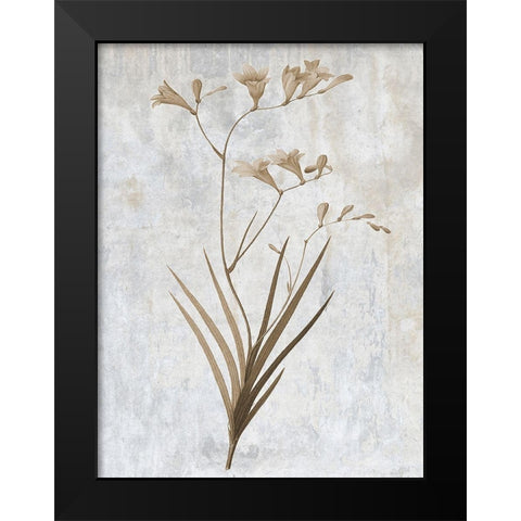 Earth Balance 4 Black Modern Wood Framed Art Print by Lewis, Sheldon