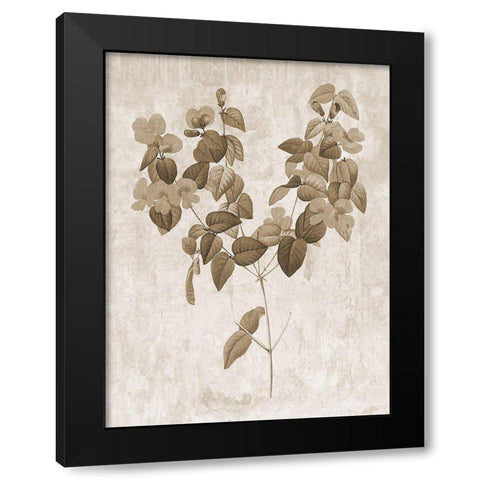 Earth Balance 6 Black Modern Wood Framed Art Print by Lewis, Sheldon