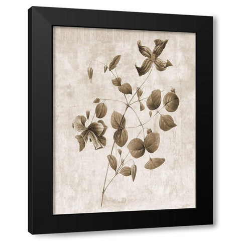 Earth Balance 8 Black Modern Wood Framed Art Print by Lewis, Sheldon