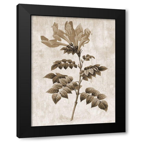 Earth Balance 9 Black Modern Wood Framed Art Print by Lewis, Sheldon