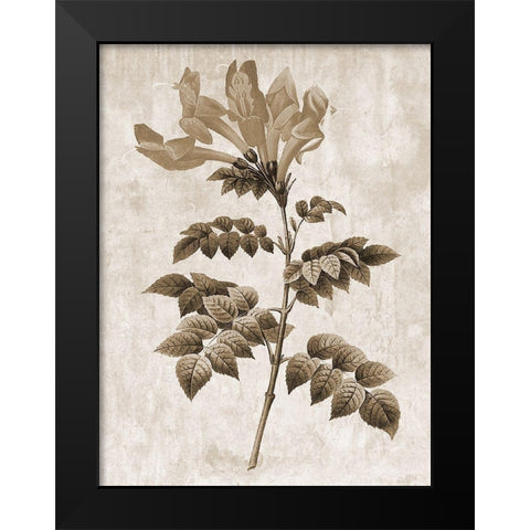 Earth Balance 9 Black Modern Wood Framed Art Print by Lewis, Sheldon